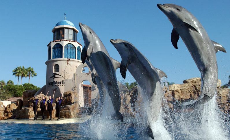 Holiday Inn San Antonio Northwest- Seaworld Area By Ihg Eksteriør bilde